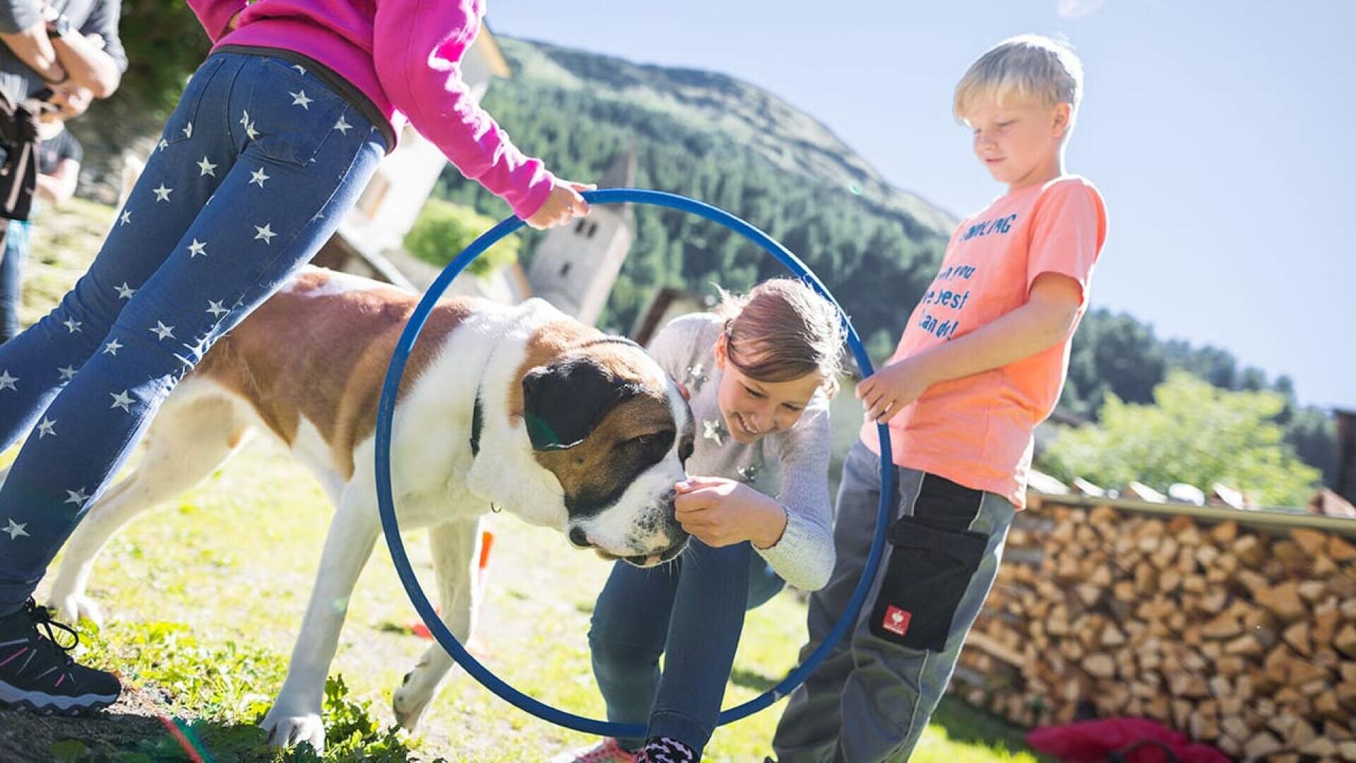 Ein großer Hund wird von drei Kindern an einem sonnigen Tag im Freien durch einen blauen Hula-Hoop-Reifen geführt, mit grünen Hügeln und gestapeltem Brennholz im Hintergrund.